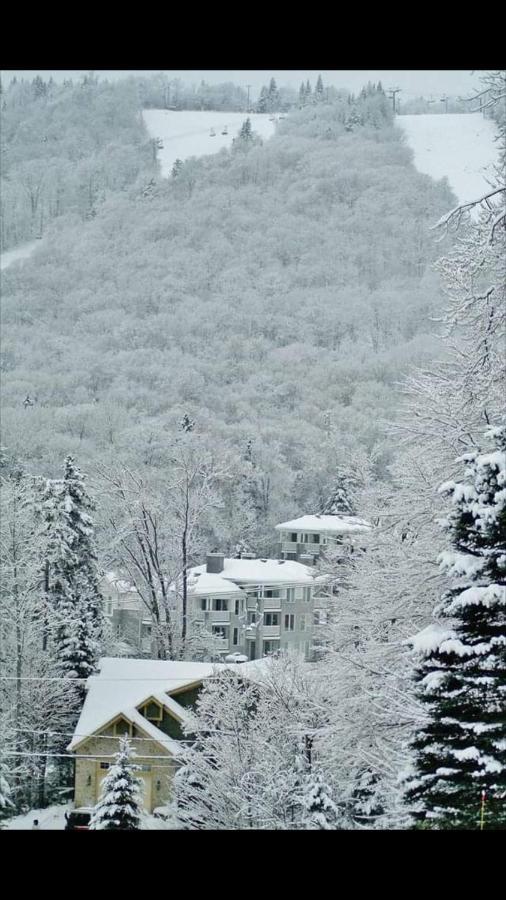 Ski-In, Ski-Out Chaleureux Studio Loft Au Pied Des Pistes De Ski Apartment สโตนแฮม ภายนอก รูปภาพ