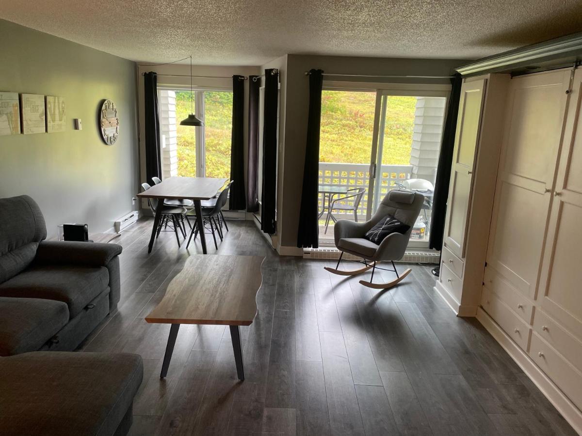 Ski-In, Ski-Out Chaleureux Studio Loft Au Pied Des Pistes De Ski Apartment สโตนแฮม ภายนอก รูปภาพ