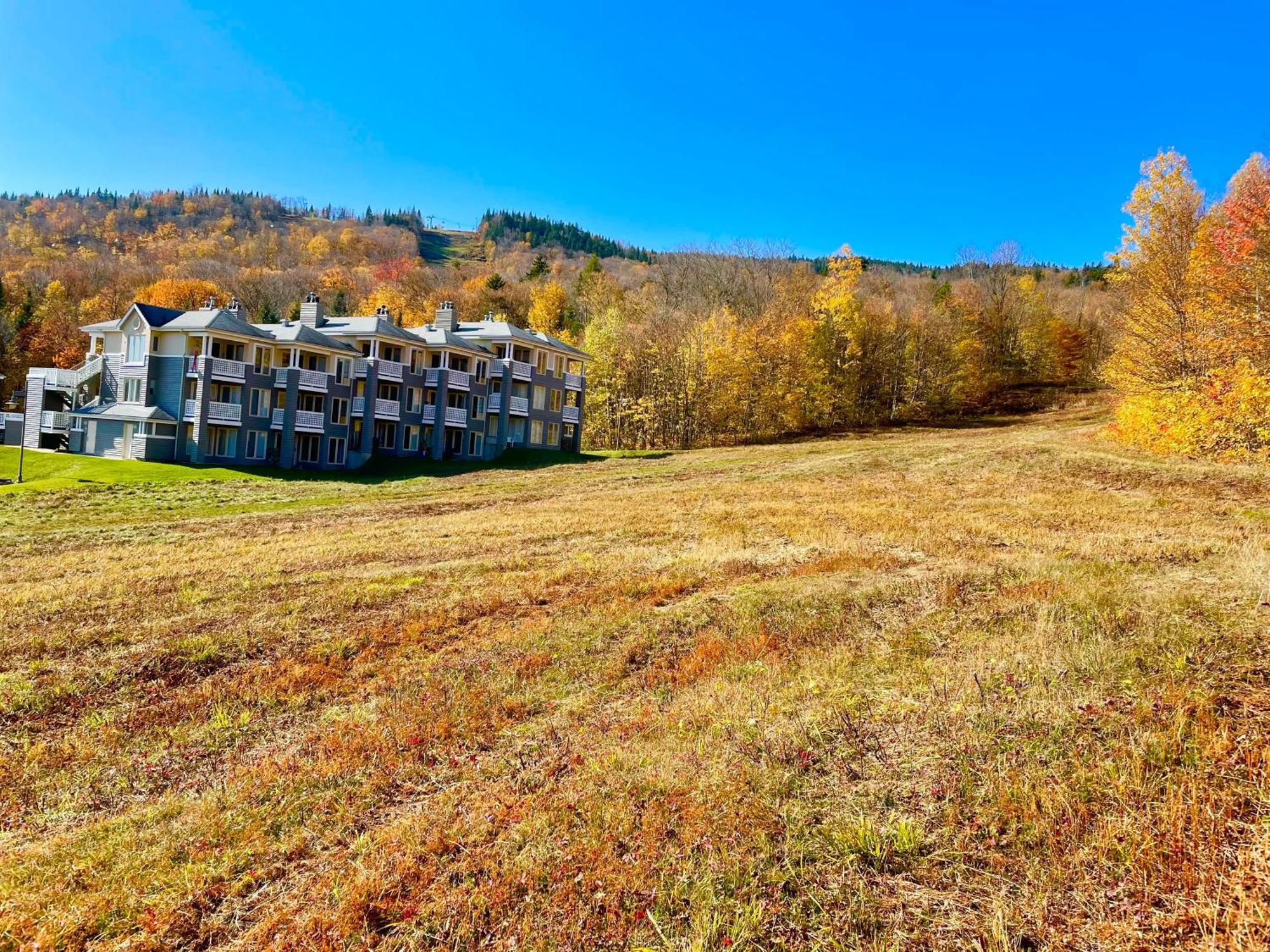 Ski-In, Ski-Out Chaleureux Studio Loft Au Pied Des Pistes De Ski Apartment สโตนแฮม ภายนอก รูปภาพ